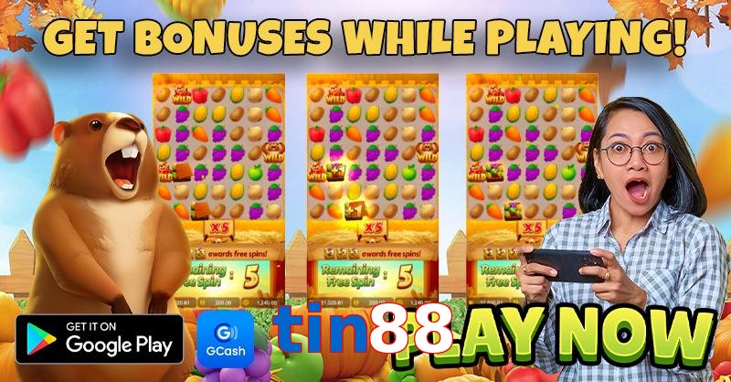 tin88