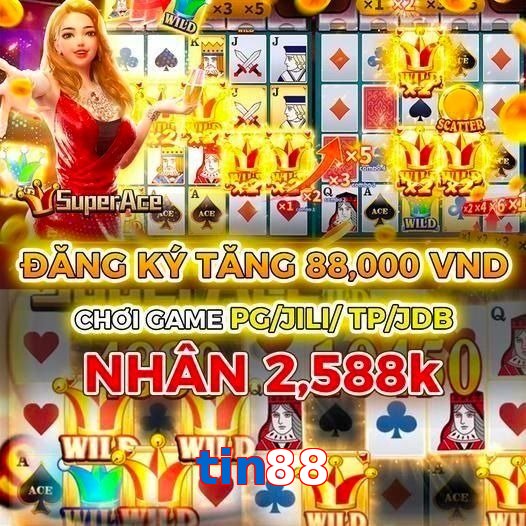 tin88